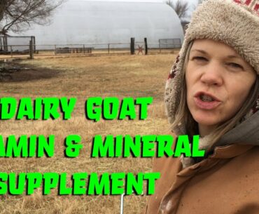 Dairy Goat Vitamin & Mineral Supplement