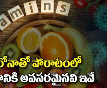 Foods That Boost Your Immune System To Battle Coronavirus | V6 Telugu News