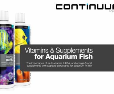 Vitamins & Supplements for Aquarium Fish