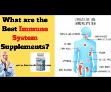 What are the Best Immune System Supplements?