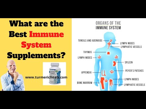 What are the Best Immune System Supplements?