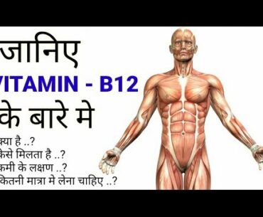 Vitamin B12 Functions In Our Body |Hindi| Vitamin B12 Source - Supplements