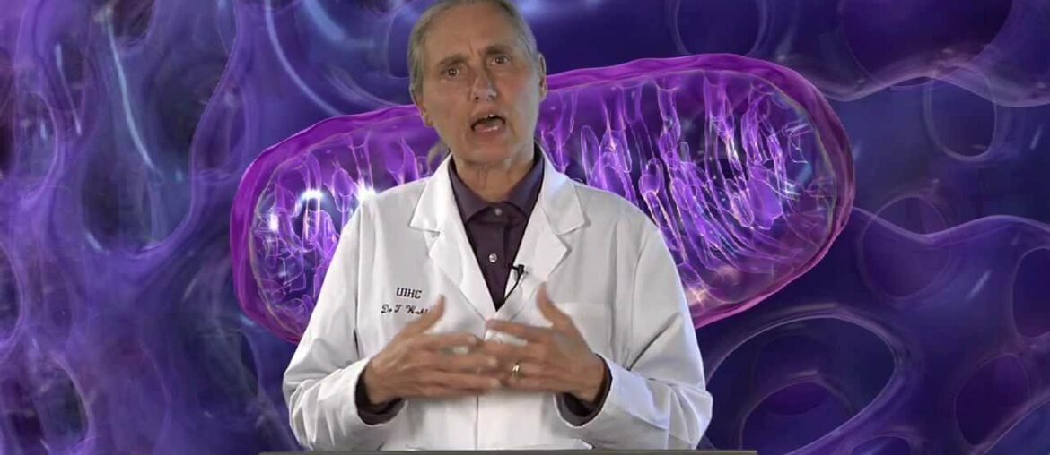 Vitamins and Supplements - Dr. Terry Wahls