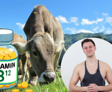 Vitamin B12 - nicht nur für Veganer!