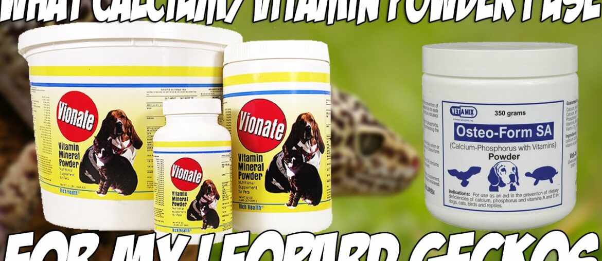 What Calcium & Vitamin Supplements I Use for My Leopard Geckos