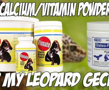 What Calcium & Vitamin Supplements I Use for My Leopard Geckos