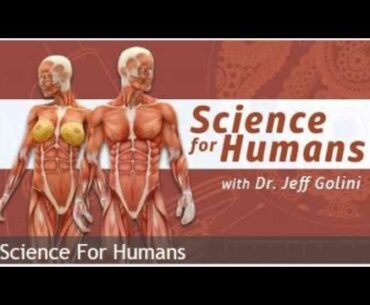SHR #1651 - Science for Humans:  Vitamin B-3 (Niacin)