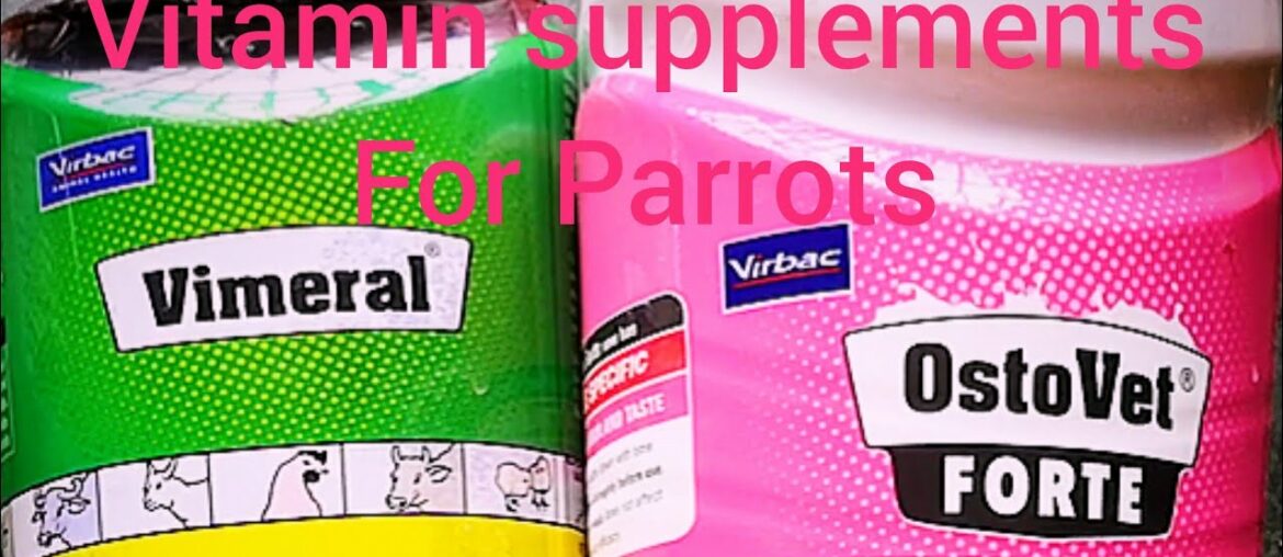 #Vitamins #supplements for sun conure parrot in Tamil