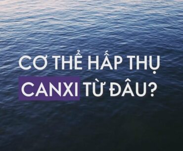 Cơ thể hấp thụ Canxi từ đâu? - Marine Calcium & Vitamin D