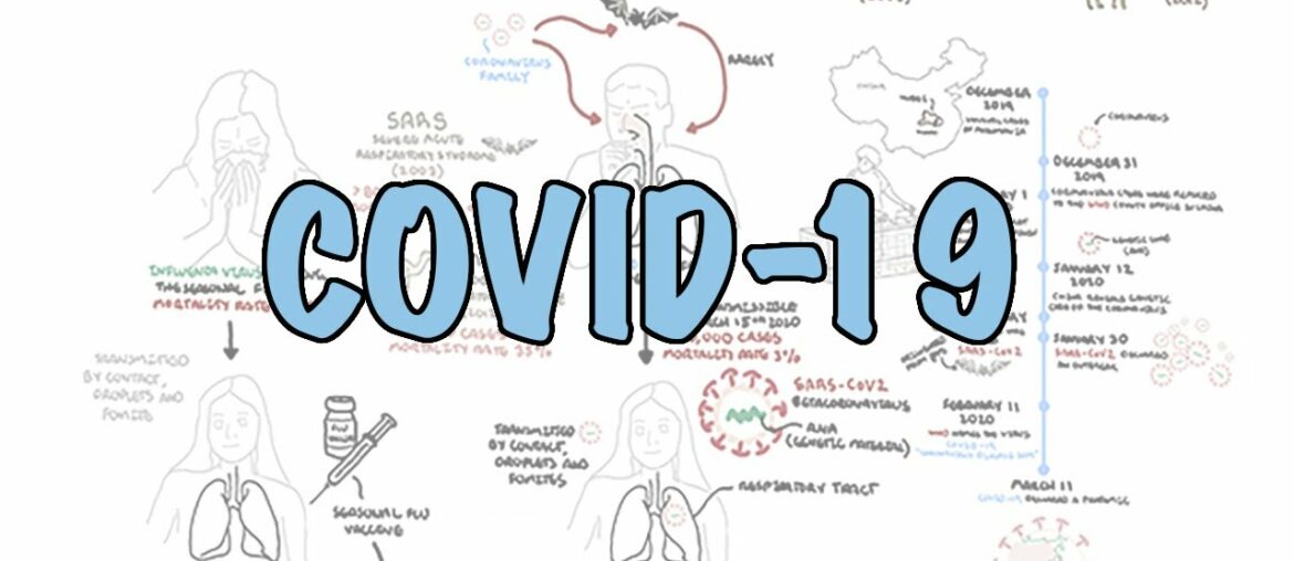 **COVID-19**  a visual summary of the new coronavirus pandemic