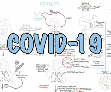 **COVID-19**  a visual summary of the new coronavirus pandemic