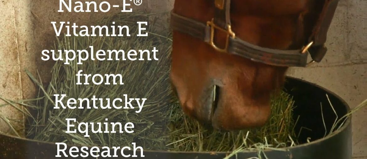 Nano-E® Vitamin E supplement from Kentucky Equine Research