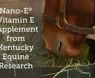 Nano-E® Vitamin E supplement from Kentucky Equine Research