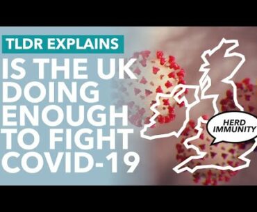 Is Johnson Doing Enough to Fight Coronavirus? Herd Immunity vs Isolation - TLDR News