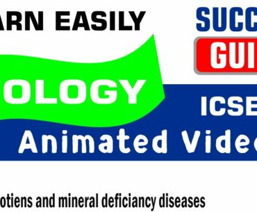 ICSE IX BIOLOGY Nutrition-3- Vitamin, protiens and mineral deficiancy diseases by Success Guide