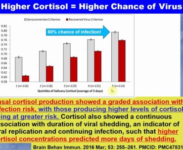 MTHFR and COVID-19 - Stress Harms the Immune System