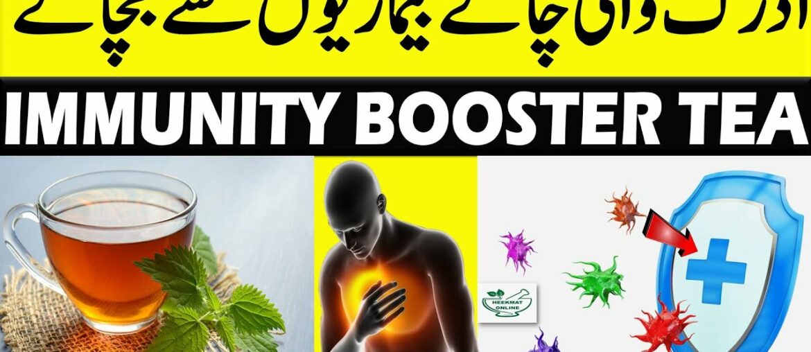Immune Booster 2 Minute Lemon Ginger Tea | Immunity Booster Drink 2020