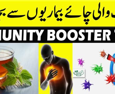 Immune Booster 2 Minute Lemon Ginger Tea | Immunity Booster Drink 2020