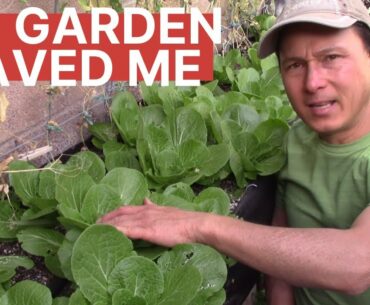 How My Garden Saved Me from COVID-19 Coronavirus Disease Pandemic