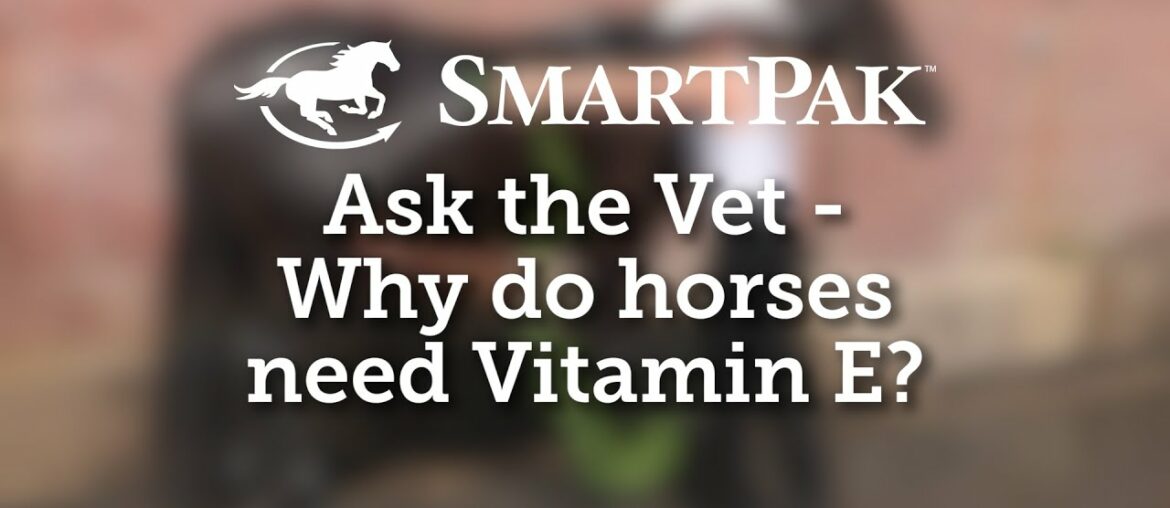 Ask the Vet - Why do horses need Vitamin E?