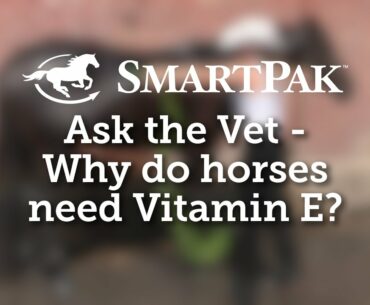 Ask the Vet - Why do horses need Vitamin E?