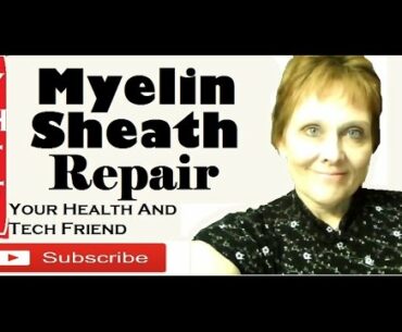 Food And Nutrients To Rebuild Myelin Sheath, Vitamin B Shark Liver Oil
