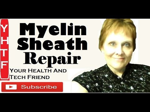 Food And Nutrients To Rebuild Myelin Sheath, Vitamin B Shark Liver Oil