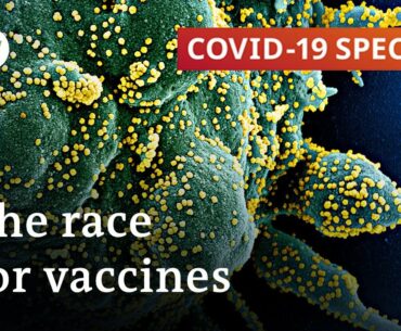 How scientists are rushing to create a coronavirus vaccine | COVID-19 Special