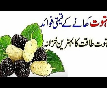 #Mulberrybenefits | Shahtoot main mojood vitamin | How important is human health