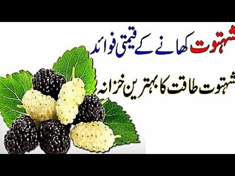 #Mulberrybenefits | Shahtoot main mojood vitamin | How important is human health