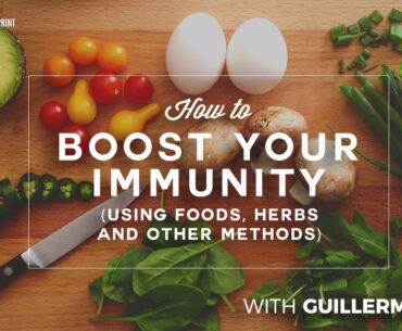 How to Boost Your Immunity (using foods, herbs and other methods) with Guillermo Ruiz & Ari Whitten