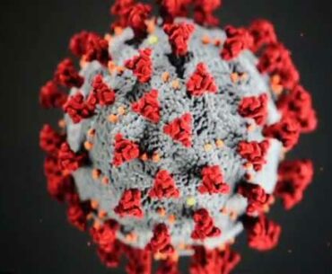 Coronavirus Targets Immune System