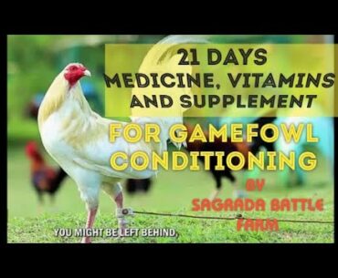 21 DAYS MEDICINE , VITAMINS AND SUPPLEMENT FOR GAMEFOWL CONDITIONING #GUIDE #GAMEFOWL #SABONG