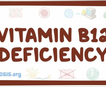 Vitamin B12 deficiency - causes, symptoms, diagnosis, treatment, pathology