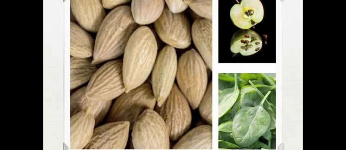 Vitamin B17 Laetrile - A Historic Alternative Cancer Prevention Supplement