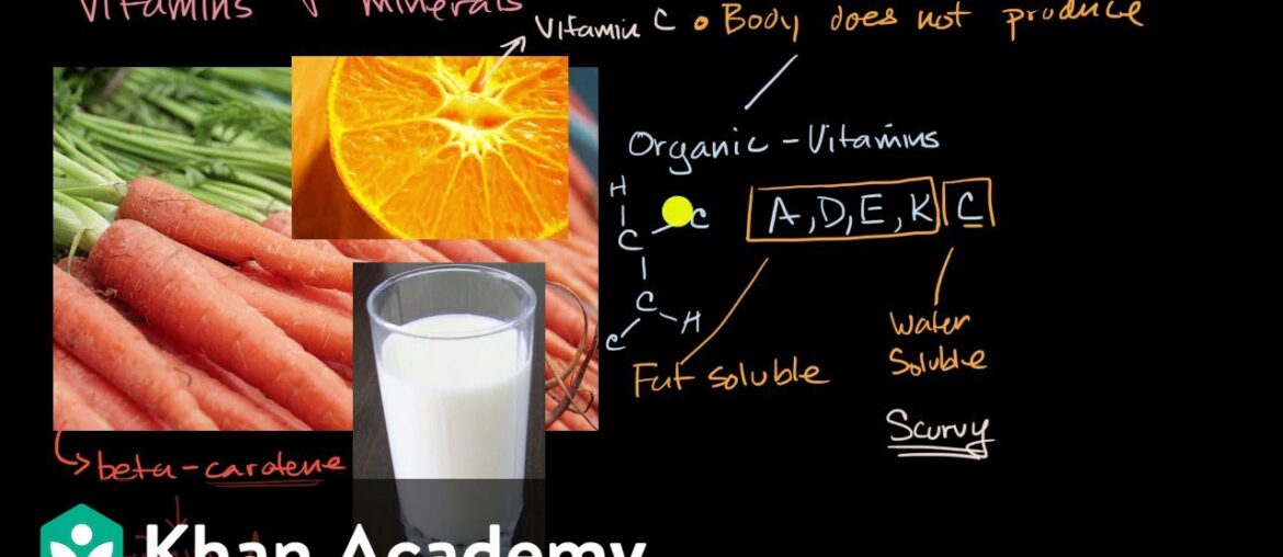 Introduction to vitamins and minerals | Biology foundations | High school biology | Khan Academy