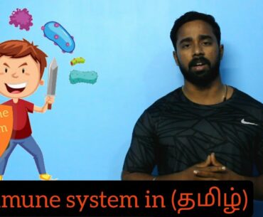 #immunesystem #corona ,How to improve immune system in Tamil |which vitamins are boost immune system