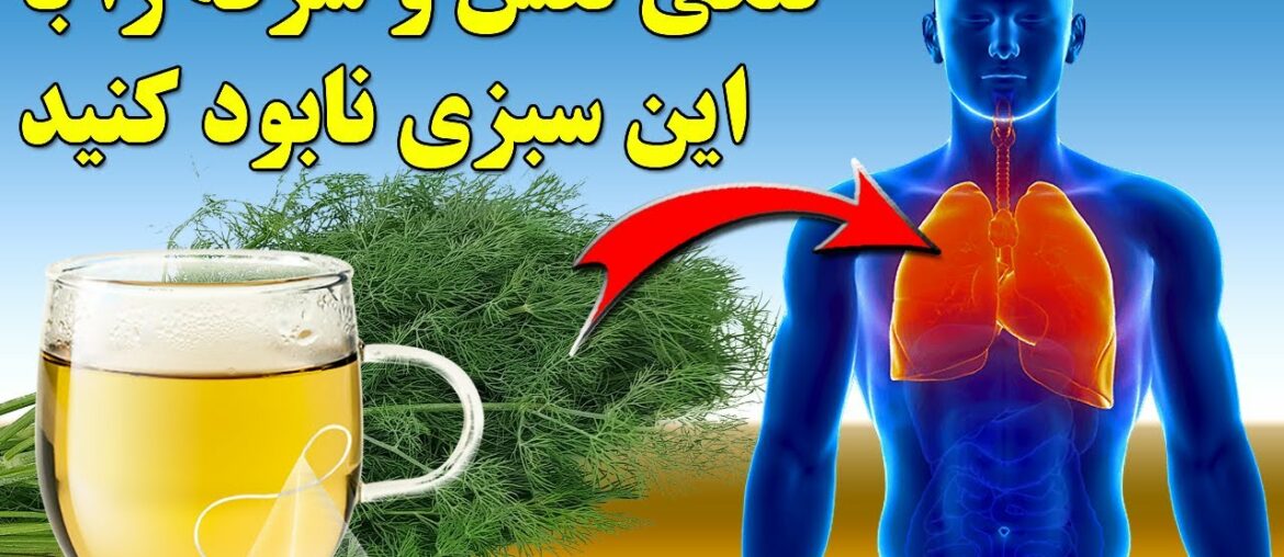 چهارده خاصیت اعجاب آور شوید دردرمان بیماریها amazing properties of Dill in the treatment of diseases