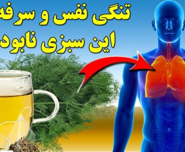 چهارده خاصیت اعجاب آور شوید دردرمان بیماریها amazing properties of Dill in the treatment of diseases