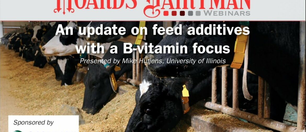 An update on Feed Additives with a B Vitamin Focus