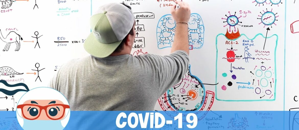 COVID-19 | Coronavirus: Epidemiology, Pathophysiology, Diagnostics