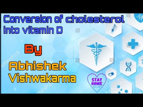 Conversion of cholesterol into vitamin-D..