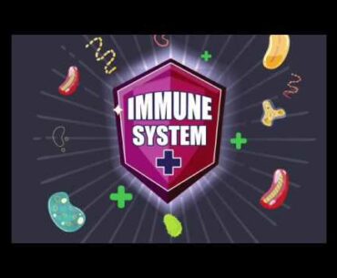 FIVE WAYS TO BOOST IMMUNITY