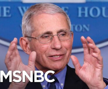 Dr. Fauci Explains The Timeline And Risks Of Creating A COVID-19 Vaccine | MSNBC