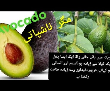 Benefits of avocado  new hindi /urdu (مگر ناشپا تی کے فواہد) health benifits of avocado