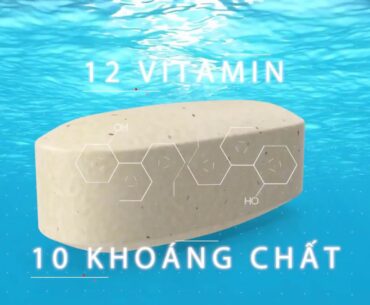 DƯỠNG CHẤT CƠ THỂ CẦN - THỰC PHẨM BỔ SUNG WELLNESS ORIFLAME. TV: 0942 015 616