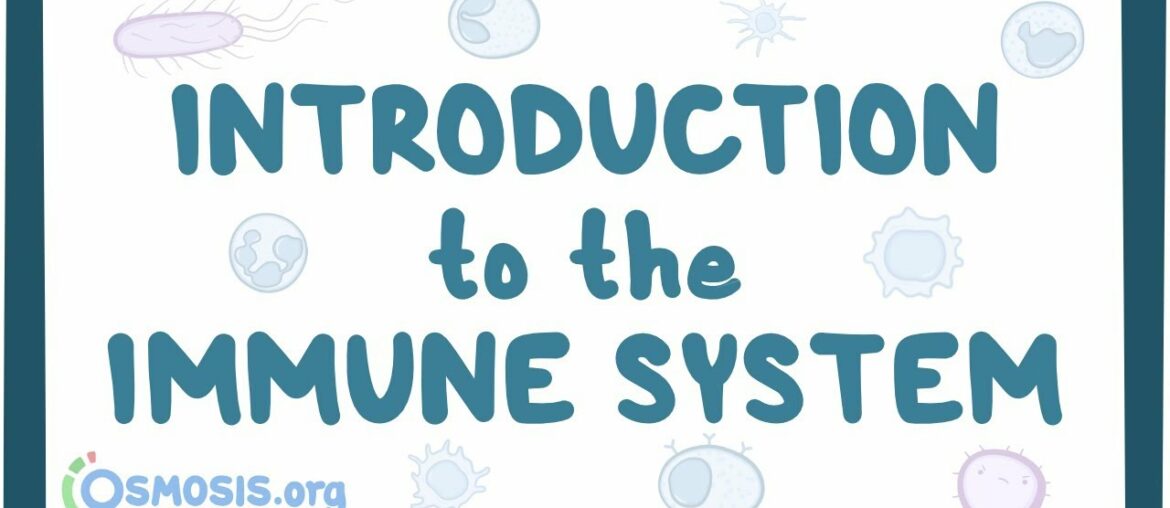 Introduction to the immune system