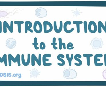 Introduction to the immune system