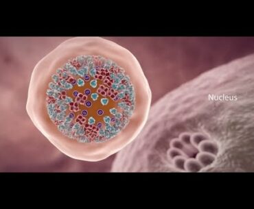 COVID-19 Video: What Happens If You Get Coronavirus?