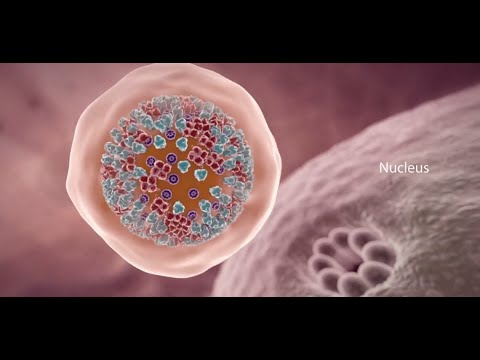 COVID-19 Video: What Happens If You Get Coronavirus?